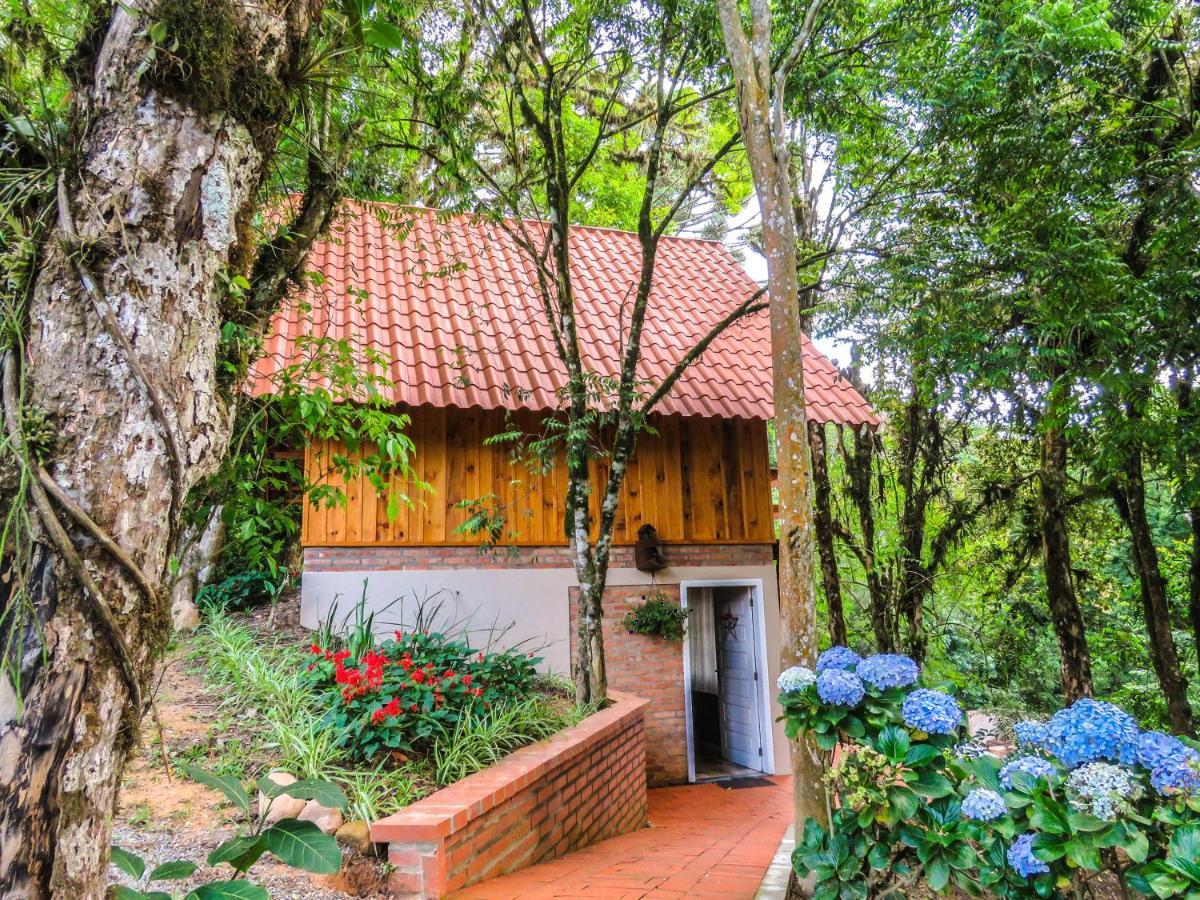 Rancho do Lucas - Cabana e Chalé São Bento do Sul Exterior foto